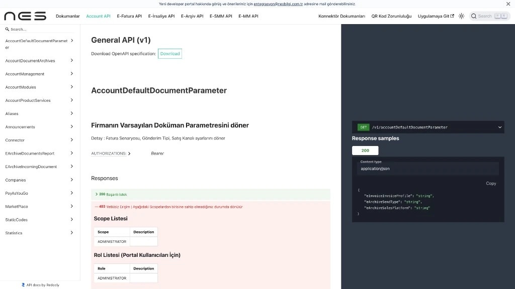 NES geliştirici portalı — e-Fatura, e-Arşiv ve Account API dokümantasyonu